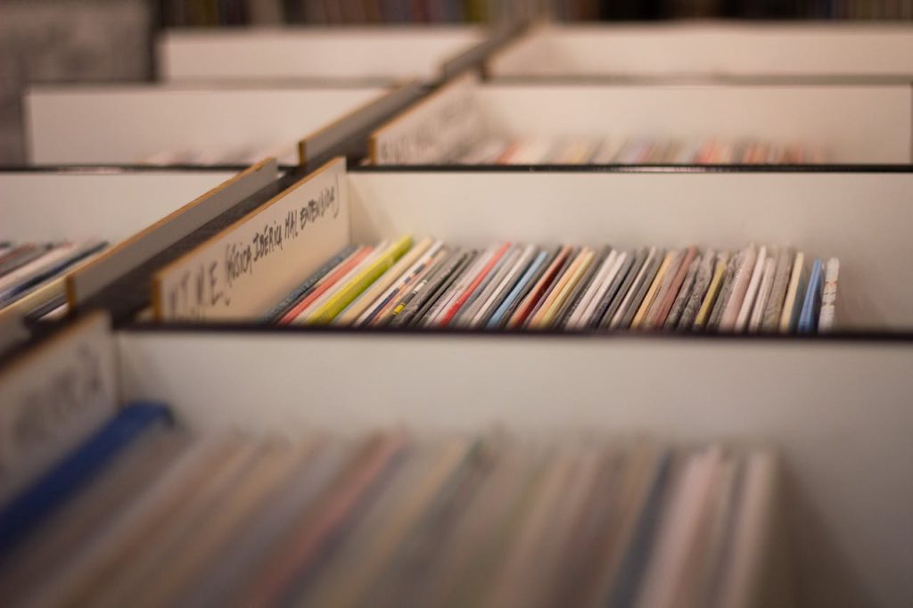 Rows of colorful vinyl records in a music store, perfect for audiophiles.