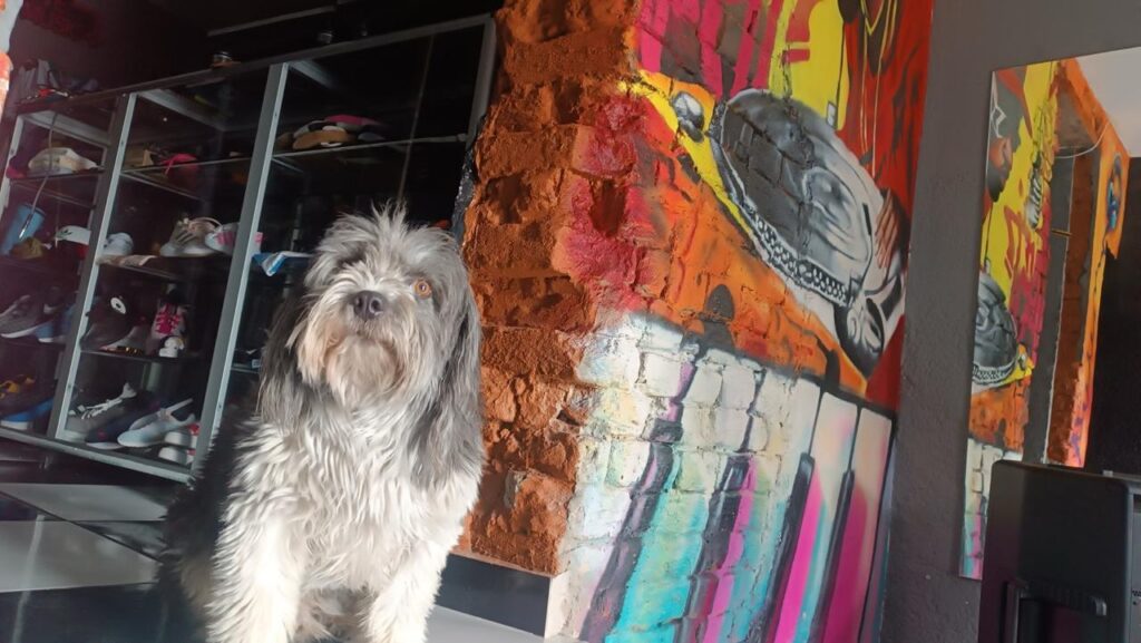 Guardianes del Barrio chaval sección guardianes del barrio